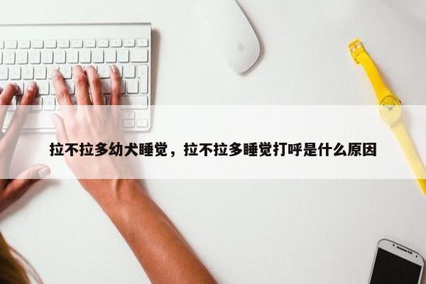 拉不拉多幼犬睡觉，拉不拉多睡觉打呼是什么原因