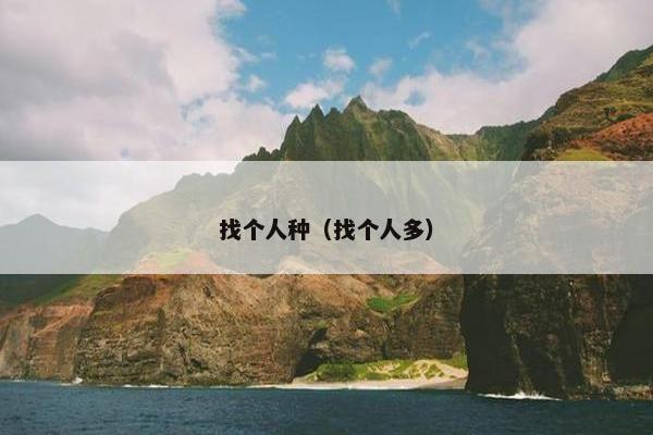 社交