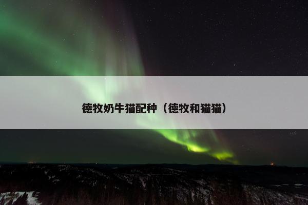 奶牛