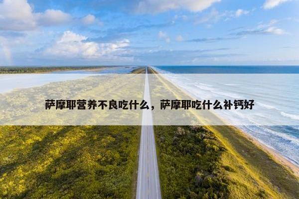 萨摩耶营养不良吃什么，萨摩耶吃什么补钙好