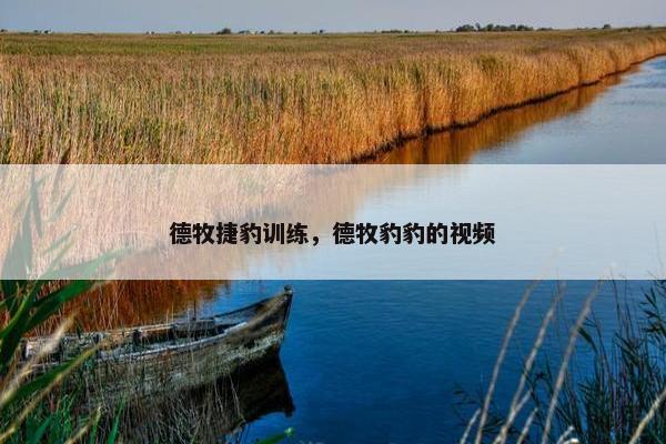 波特