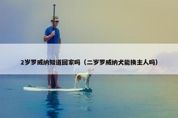 2岁罗威纳知道回家吗（二岁罗威纳犬能换主人吗）