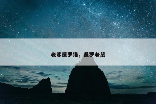 老爹暹罗猫，暹罗老鼠