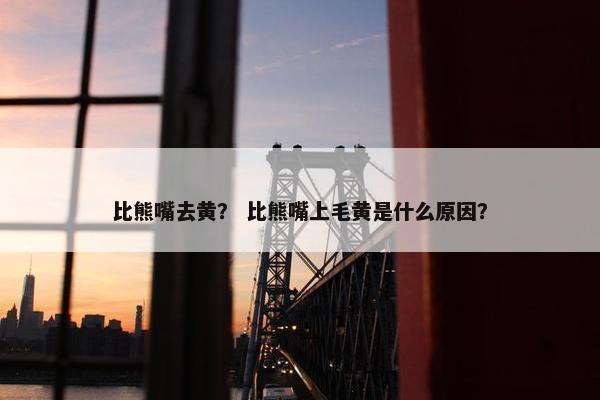 比熊嘴去黄？ 比熊嘴上毛黄是什么原因？