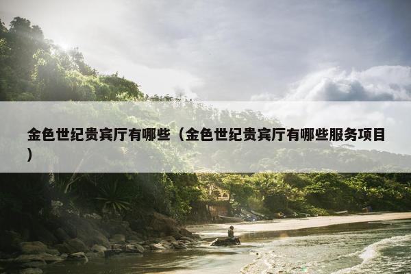 金色世纪贵宾厅有哪些（金色世纪贵宾厅有哪些服务项目）