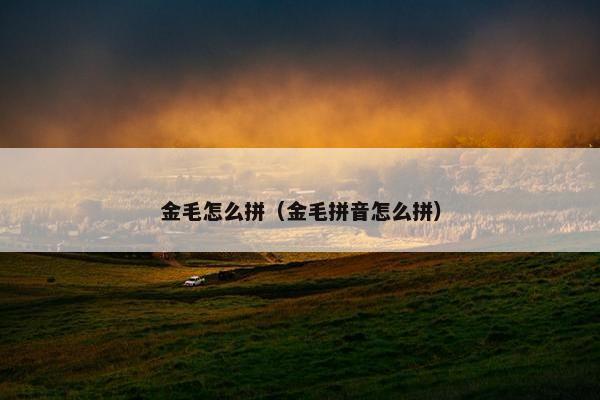 金毛怎么拼（金毛拼音怎么拼）