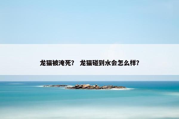 龙猫被淹死？ 龙猫碰到水会怎么样？