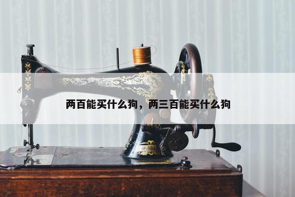 两百能买什么狗，两三百能买什么狗