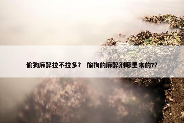 拉布拉多 第9页