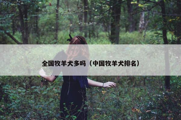 全国牧羊犬多吗（中国牧羊犬排名）