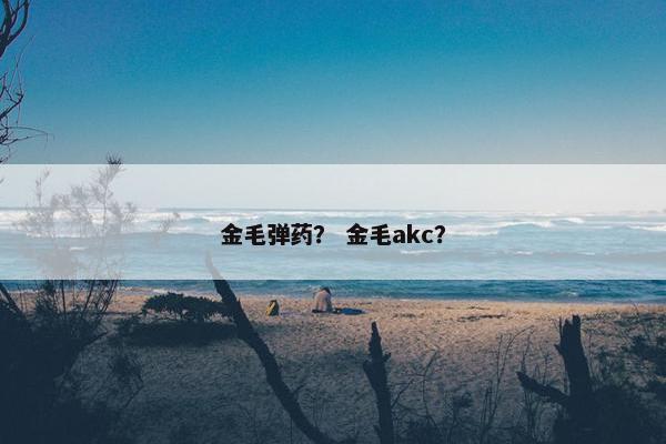金毛弹药？ 金毛akc？