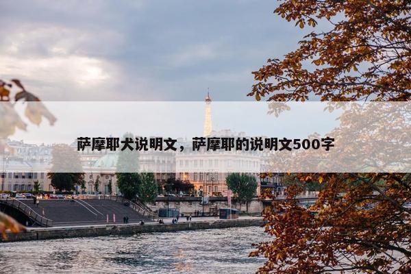 我们