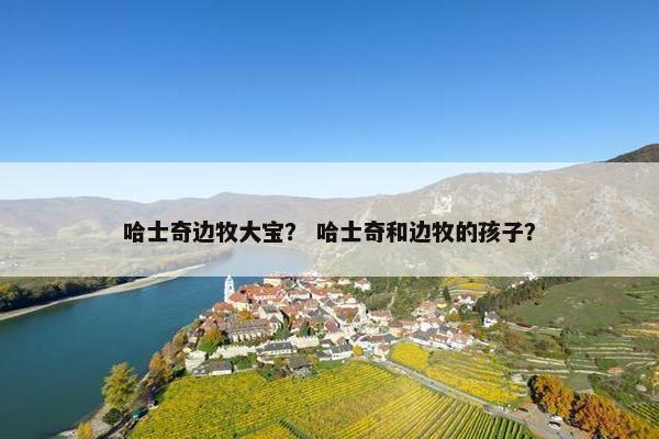 哈士奇边牧大宝？ 哈士奇和边牧的孩子？