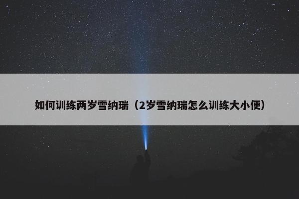 如何训练两岁雪纳瑞（2岁雪纳瑞怎么训练大小便）