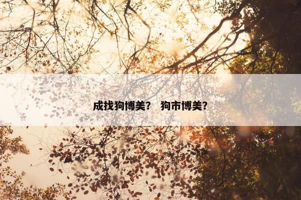 博美 第4页