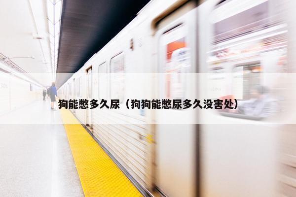 狗能憋多久尿（狗狗能憋尿多久没害处）