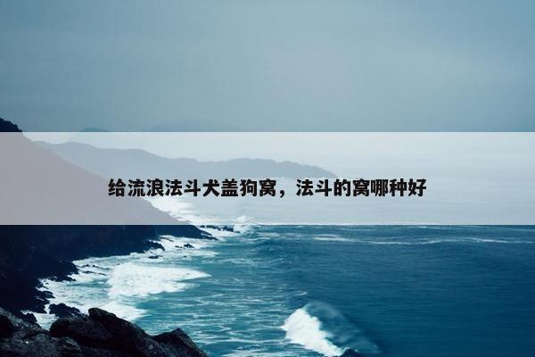 给流浪法斗犬盖狗窝，法斗的窝哪种好