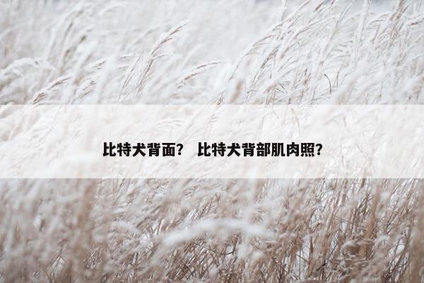 比特犬背面？ 比特犬背部肌肉照？
