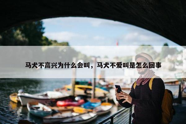马犬不高兴为什么会叫，马犬不爱叫是怎么回事