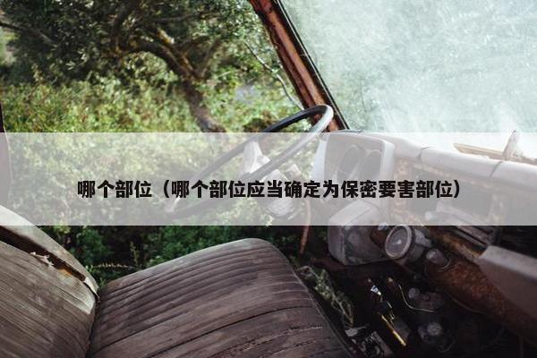 部位