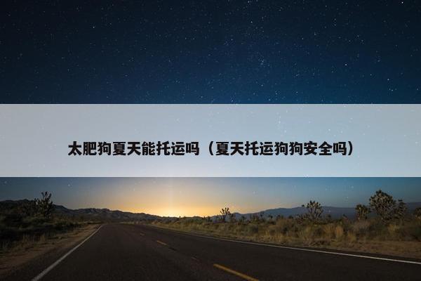 太肥狗夏天能托运吗（夏天托运狗狗安全吗）