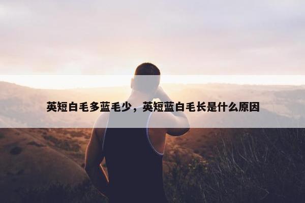 英短白毛多蓝毛少，英短蓝白毛长是什么原因