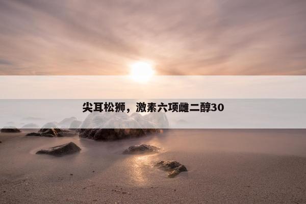 松狮 第4页
