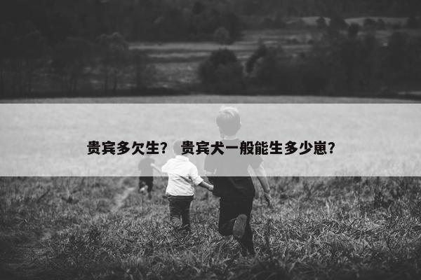 贵宾多欠生？ 贵宾犬一般能生多少崽？