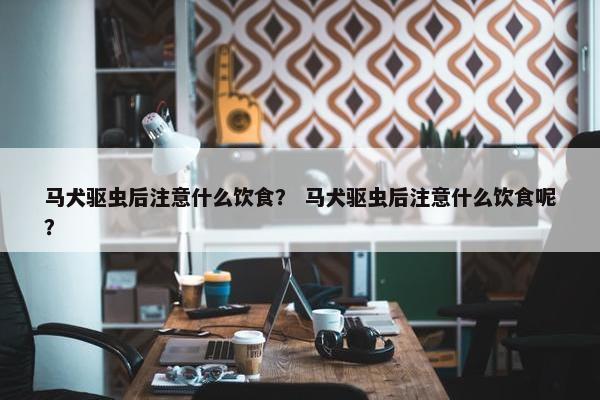 马犬驱虫后注意什么饮食？ 马犬驱虫后注意什么饮食呢？