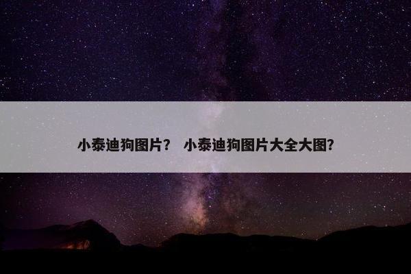小泰迪狗图片？ 小泰迪狗图片大全大图？