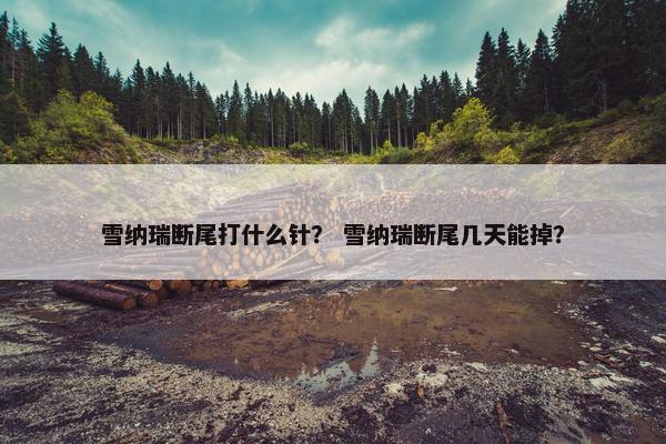 雪纳瑞断尾打什么针？ 雪纳瑞断尾几天能掉？