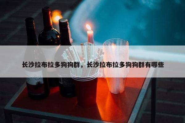 拉布拉多 第8页