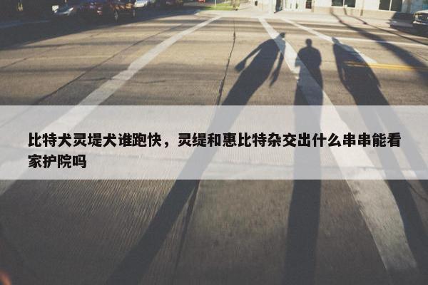 速度