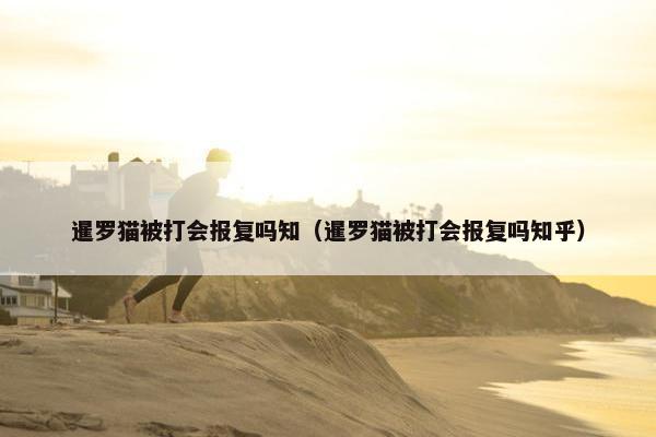暹罗猫被打会报复吗知（暹罗猫被打会报复吗知乎）