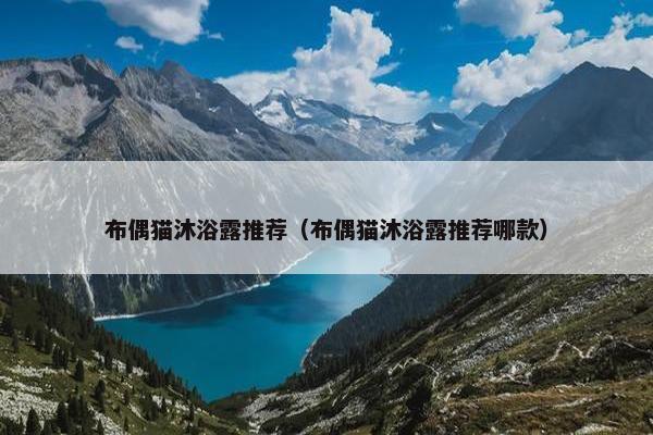 布偶猫沐浴露推荐（布偶猫沐浴露推荐哪款）