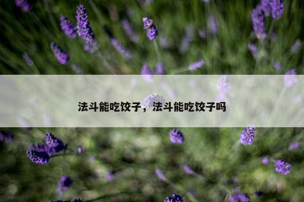 法斗能吃饺子，法斗能吃饺子吗