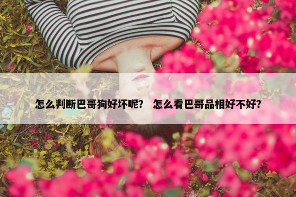 嘴巴