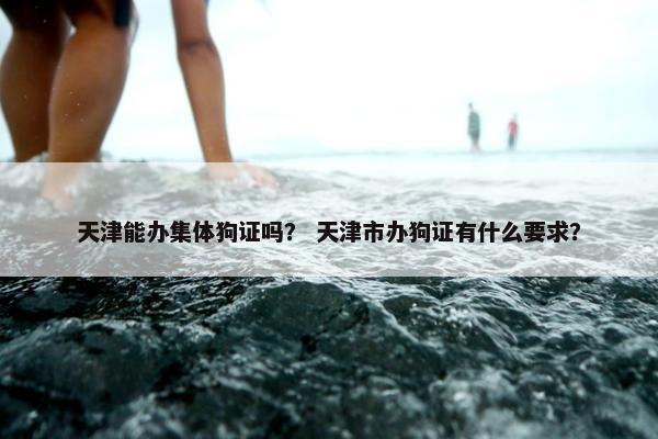 天津能办集体狗证吗？ 天津市办狗证有什么要求？
