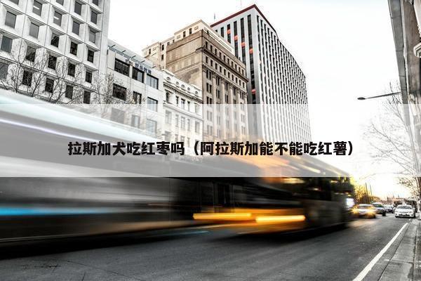 拉斯加犬吃红枣吗（阿拉斯加能不能吃红薯）