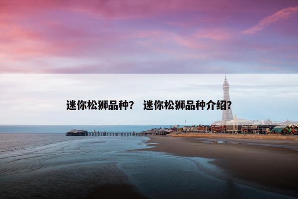 迷你松狮品种？ 迷你松狮品种介绍？