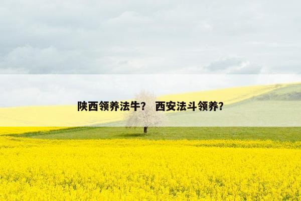 陕西领养法牛？ 西安法斗领养？