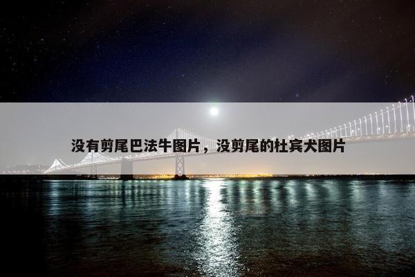 没有剪尾巴法牛图片，没剪尾的杜宾犬图片