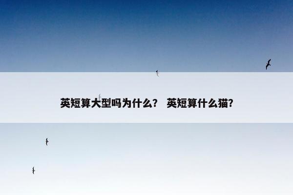 英短算大型吗为什么？ 英短算什么猫？