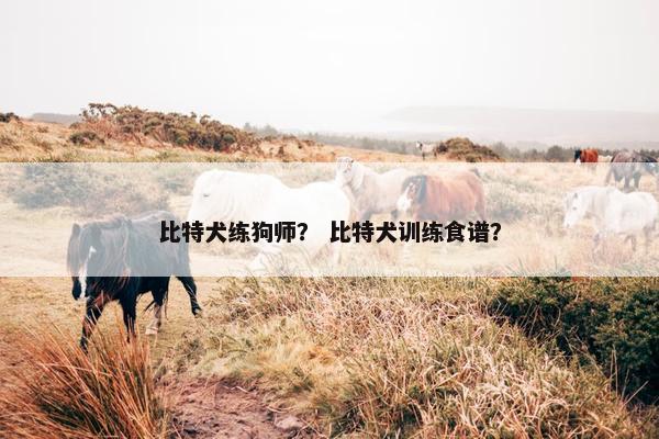 比特犬练狗师？ 比特犬训练食谱？