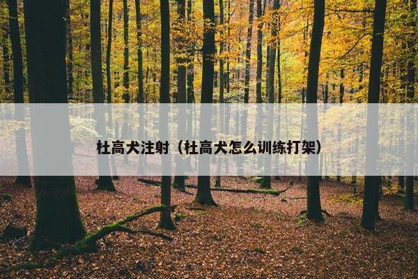 杜高犬注射（杜高犬怎么训练打架）