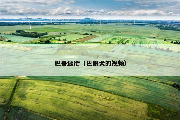 巴哥逛街（巴哥犬的视频）