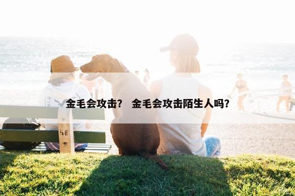 金毛 第5页