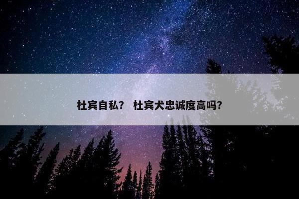 社会