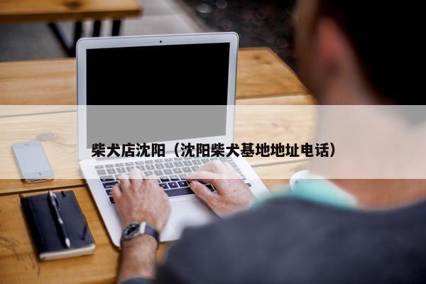 柴犬店沈阳（沈阳柴犬基地地址电话）