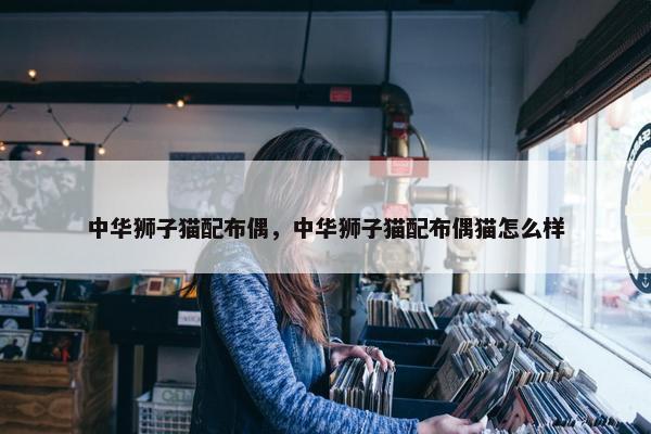 中华狮子猫配布偶，中华狮子猫配布偶猫怎么样